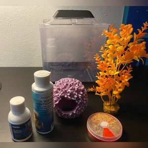 EVERYTHING U NEED FOR A BETA FISH!!